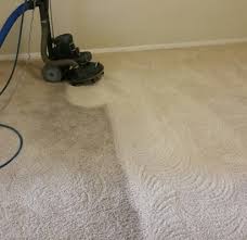 scentex professional carpet cleaning