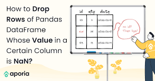 how to drop rows of pandas dataframe