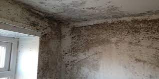 Ceiling Mould By Reducing Condensation