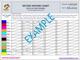 Puppies In Bloom Color Coordinated Breeder Record Keeping Charts