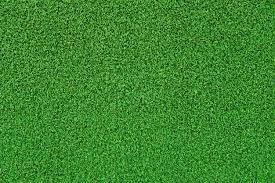 Artificial Grass Images Free