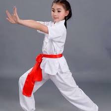 kids chinese kung fu wushu martial arts