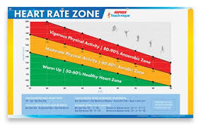 Teach Nique Age Based Heart Rate Zone Banner