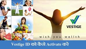 vestige id activate क स कर how to