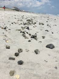 The Rocky Path To Put Sand On N Topsail Beach Coastal