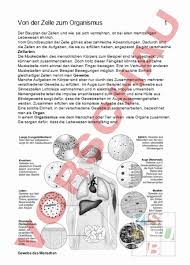 Anstatt leere zellen als lücken anzuzeigen, können sie sie als nullwerte anzeigen oder die lücken standardmäßig werden daten, die in zeilen und spalten. Arbeitsblatt Von Der Zelle Zum Organismus Biologie Genetik