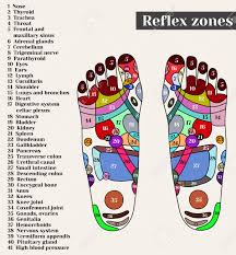 Acupuncture Points On The Feet The Reflex Zones On The Feet