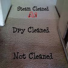 top 5 types of carpet cleaning methods