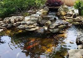 Backyard Pond Designs You And Your Koi