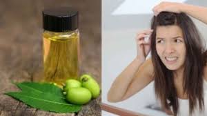 neem oil for lice how to get rid of