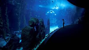 aquarium poema del mar