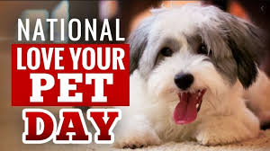 Submit your pup photos and videos using the form below! National Love Your Pet Day 20th February Happy Love Your Pet Day 2021 Wishes Quotes Message Greeting Image Pic Smartphone Model