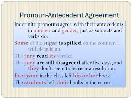 Review Subject Verb Agreement Pronoun Antecedent Agreement Pronoun