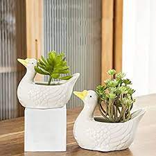 Amazon.com: DOITOOL Duck Ceramic Succulent Pots Flower Plant Pots Cute Mini  Pots Indoor Outdoor White Swan Planters Home Garden Decor : Patio, Lawn &  Garden