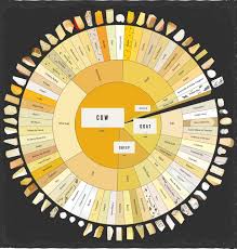 Cheese Chart Types Of Cheese Cheese Lover Homemade Cheese