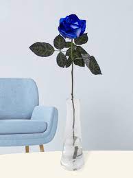 blue rose including gl vase fresh