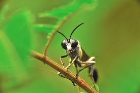 Hasil gambar untuk ARTIKEL photography