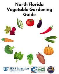 North Florida Vegetable Gardening Guide