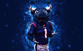 (you can find it using this number). Wallpaper Houston Texans Mascot