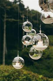 Hanging Glass Globe Terrariums