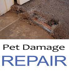 pet carpet damage repair san go