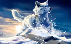 hd ice wolf wallpapers peakpx