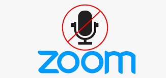 desativar o som do zoom no celular e pc