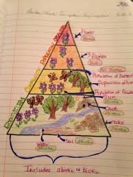 Mrs Schroeders 6th Grade Blog Anchor Chart Ecosystem