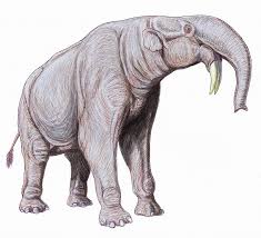 Gambar gambar gajah sketsa paling baru download now sketsa gambar. Gajah Purba Mamalia Terbesar Yang Pernah Hidup Di Daratan Bumi Mongabay Co Id
