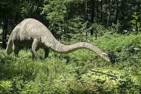 Image result for plant-eating dinosaur