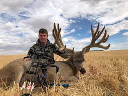 Hunting techniques for mule deer are as varied as their habitat. The Best Bucks Of September 2020