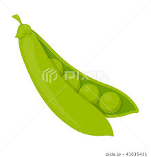 peas icon cartoon singe vegetables
