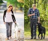 are-male-dogs-attracted-to-female-owners