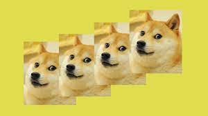Laugh your self out with various memes that we collected around the internet. Iconic Doge Meme Nft Breaks Record Selling For 4 Million