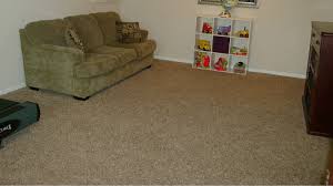 what is a frieze carpet the pros and cons