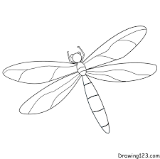 dragonfly drawing tutorial how to