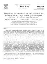 pdf digestibility and muscle retention