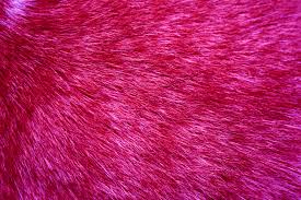 44 pink fur wallpaper wallpapersafari