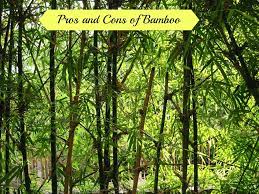 pros and cons of bamboo turning the