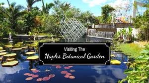 visiting the naples botanical garden