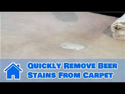 quickly remove beer stains from carpet