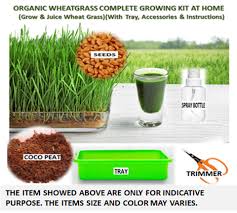 organic wheatgr complete microgreens