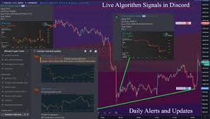 We have all different kinds of signals: Jaixii Crypto Algorithmic Trading Auf Twitter Bitcoin Update And Giveaway Live Algorithm Signals And Daily Crypto Market Updates In Discord Alerts Provided At The Exact Pivot Locations On Btc Before