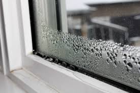 Prevent Mold On Windows In Winter
