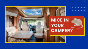 keep mice out of your cer or rv