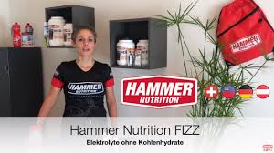 hammer nutrition fizz you