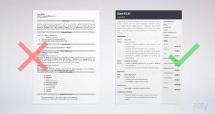 Interpreter Resume Sample And Complete Writing Guide 20 Tips