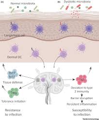 cutaneous barriers and skin immunity