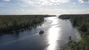 cruise up the st johns river