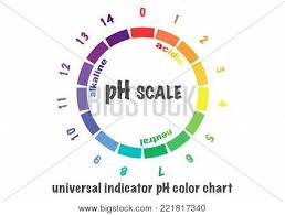 Scale Ph Value Acid Vector Photo Free Trial Bigstock